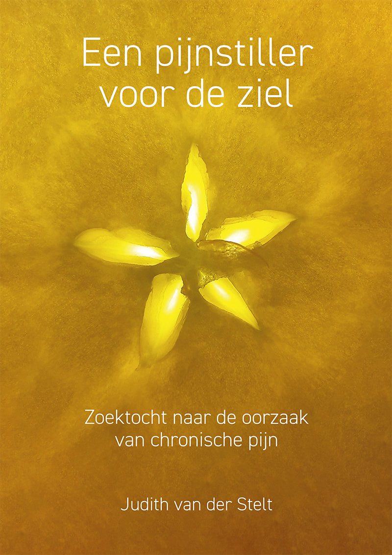 Een pijnstiller voor de ziel - Zoektocht naar de oorzaak van chronische pijn - Judith van der Stelt