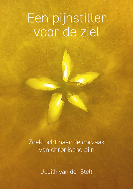 Een pijnstiller voor de ziel - Zoektocht naar de oorzaak van chronische pijn - Judith van der Stelt
