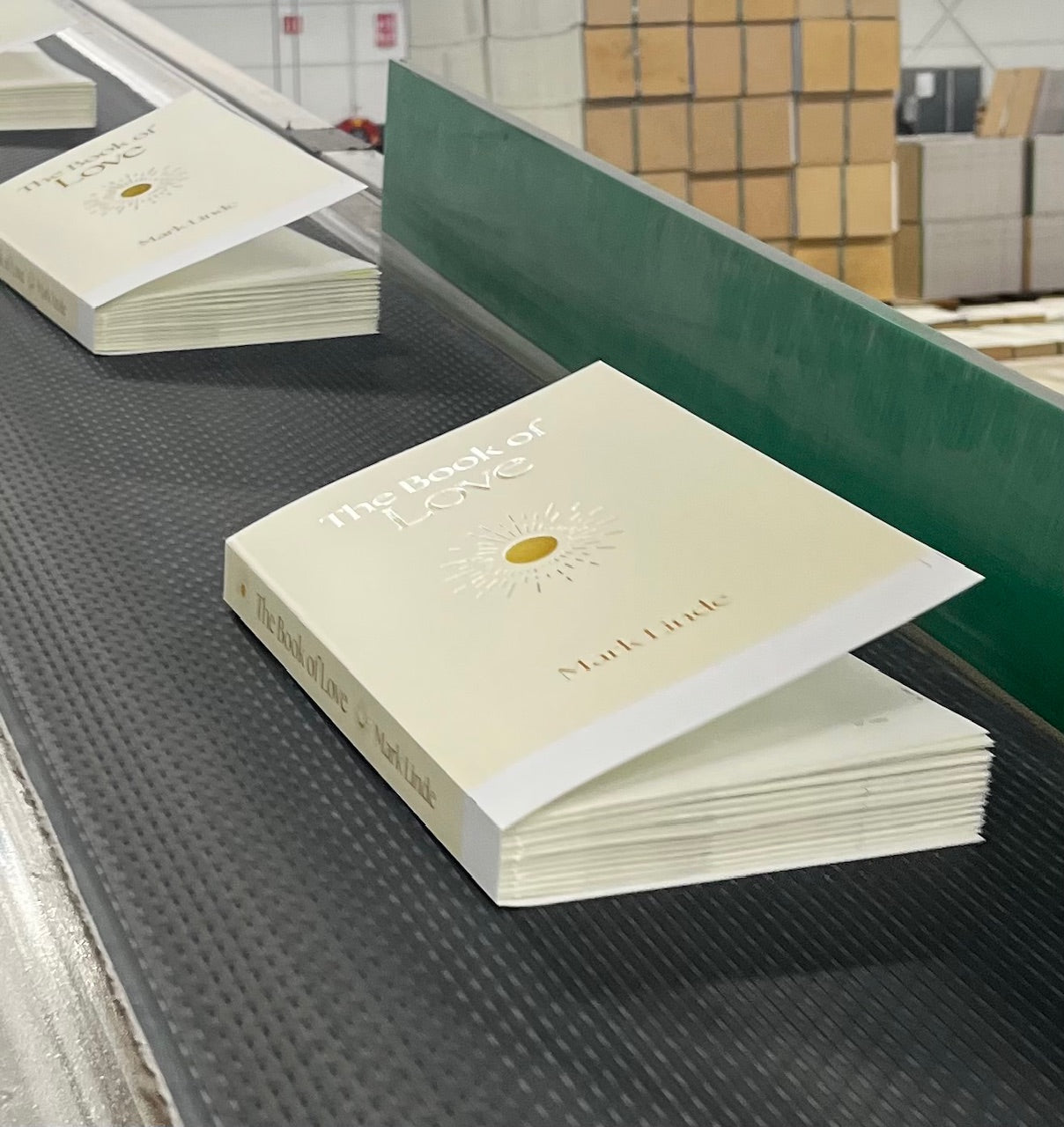 VERSCHIJNT 29 SEPTEMBER - The Book of Love - Mark Linde  - Nú al te bestellen!